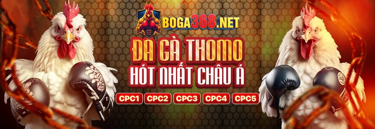 Đá gà trực tuyến gamvip m88